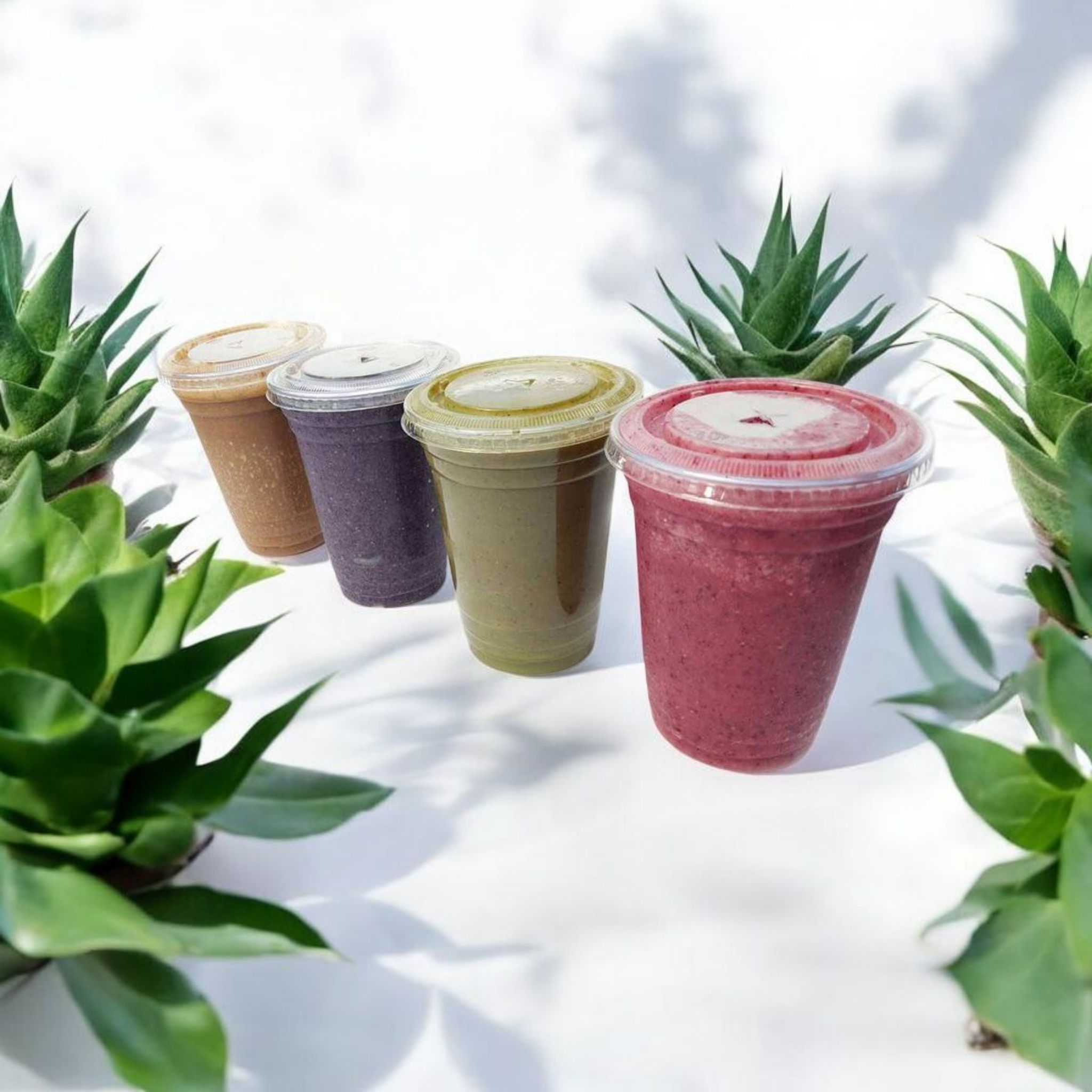 🥬 Nourished by Nature: Smoothies Made Simple